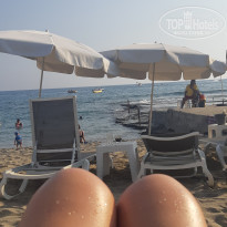 фото из отзыва ID 2295259