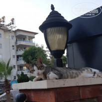 фото из отзыва ID 2295259