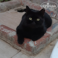 фото из отзыва ID 2295259