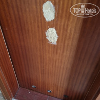 фото из отзыва ID 2295308