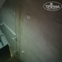 фото из отзыва ID 2295403