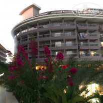 фото из отзыва ID 2295467