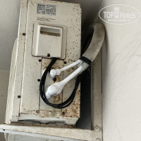 фото из отзыва ID 2295650