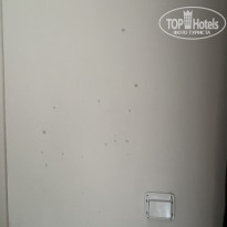 фото из отзыва ID 2295650