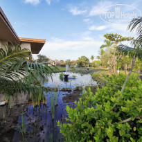 фото из отзыва ID 2295777