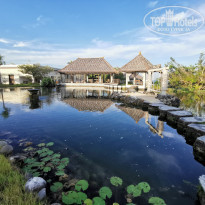 фото из отзыва ID 2295777