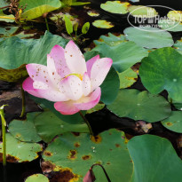 фото из отзыва ID 2295777