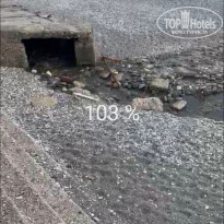 фото из отзыва ID 2295795