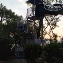 фото из отзыва ID 2295859