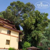 фото из отзыва ID 2295859