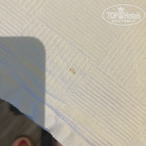 фото из отзыва ID 2295873