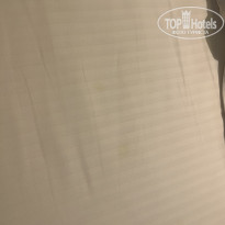 фото из отзыва ID 2295873