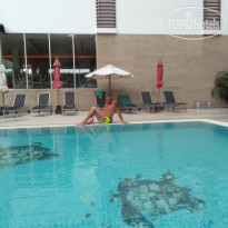 фото из отзыва ID 2295959