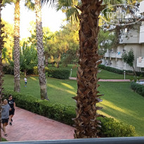 фото из отзыва ID 2294203