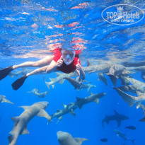 фото из отзыва ID 2296087