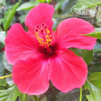 фото из отзыва ID 2296161