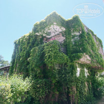 фото из отзыва ID 2295802