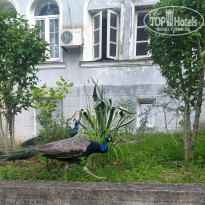 фото из отзыва ID 2296230