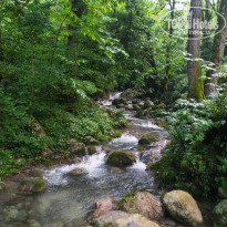 фото из отзыва ID 2296230