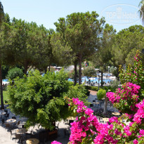 фото из отзыва ID 2296304