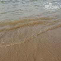 фото из отзыва ID 2296292