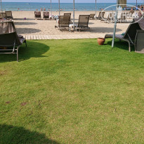 фото из отзыва ID 2296292