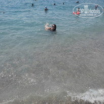 фото из отзыва ID 2296470