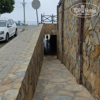 фото из отзыва ID 2296513