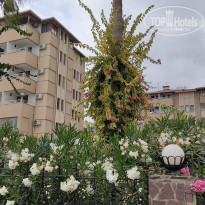 фото из отзыва ID 2296513