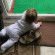 Photos Сункар