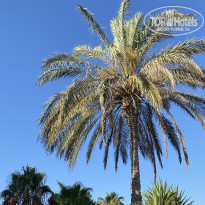 фото из отзыва ID 2296556