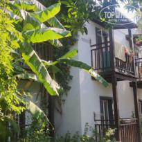 фото из отзыва ID 2296681