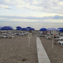 фото из отзыва ID 2291466