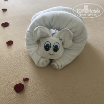 фото из отзыва ID 2296903