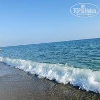 фото из отзыва ID 2297001