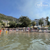 фото из отзыва ID 2297002