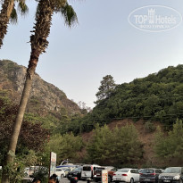 фото из отзыва ID 2297002