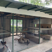 фото из отзыва ID 2297076