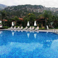 фото из отзыва ID 2297210