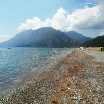 фото из отзыва ID 2297210