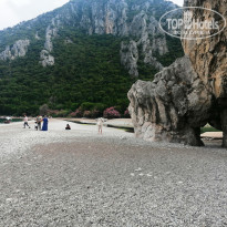 фото из отзыва ID 2297210