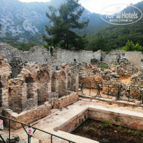 фото из отзыва ID 2297210