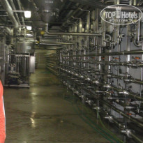 фото из отзыва ID 2297249