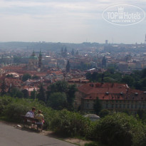 фото из отзыва ID 2297249