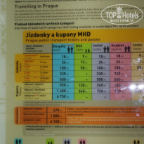 фото из отзыва ID 2297249