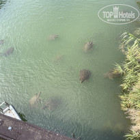 фото из отзыва ID 2297363