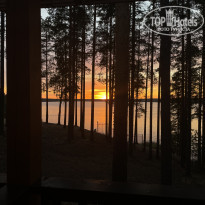 фото из отзыва ID 2297386