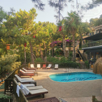 фото из отзыва ID 2297553