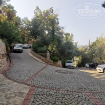 фото из отзыва ID 2297553