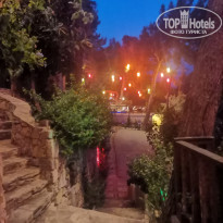 фото из отзыва ID 2297553